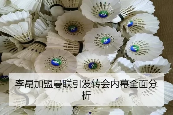 李昂加盟曼联引发转会内幕全面分析